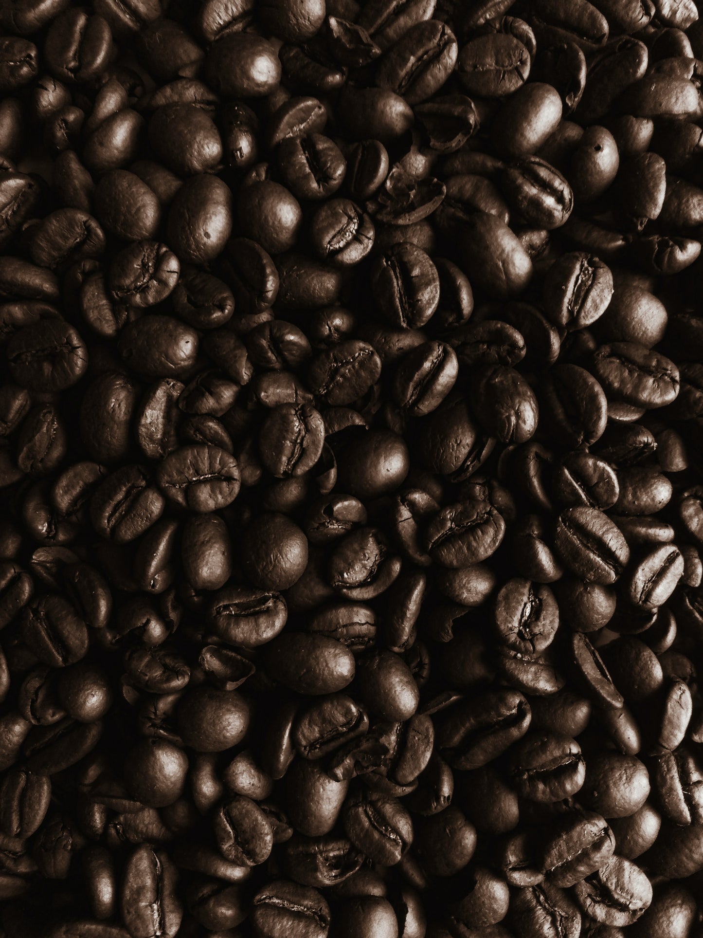 French Roast Blend